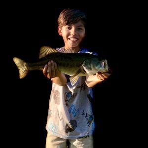 Meet your Posher, Landon